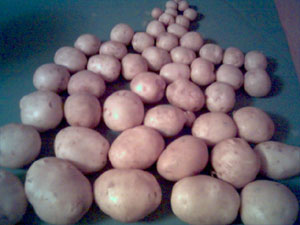 Click to enlarge image in a resizable window.