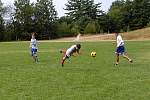 wildcat016.jpg